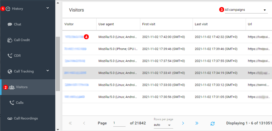 admin-advanced-call-tracking-visitors.png